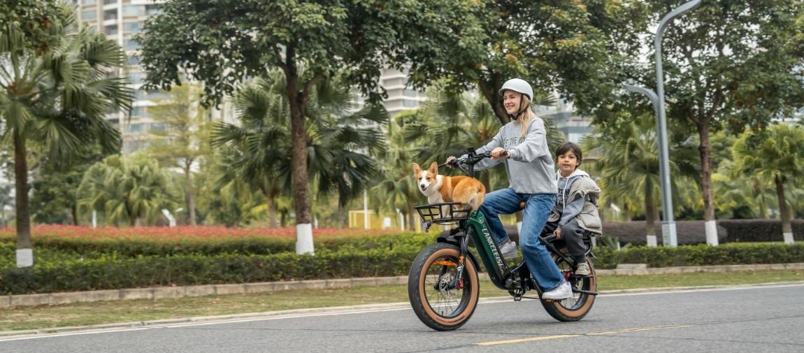 Guida all'acquisto: standard di base per i telai delle biciclette elettriche