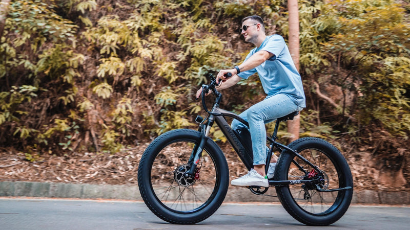 bicicleta eléctrica Lankeleisi
